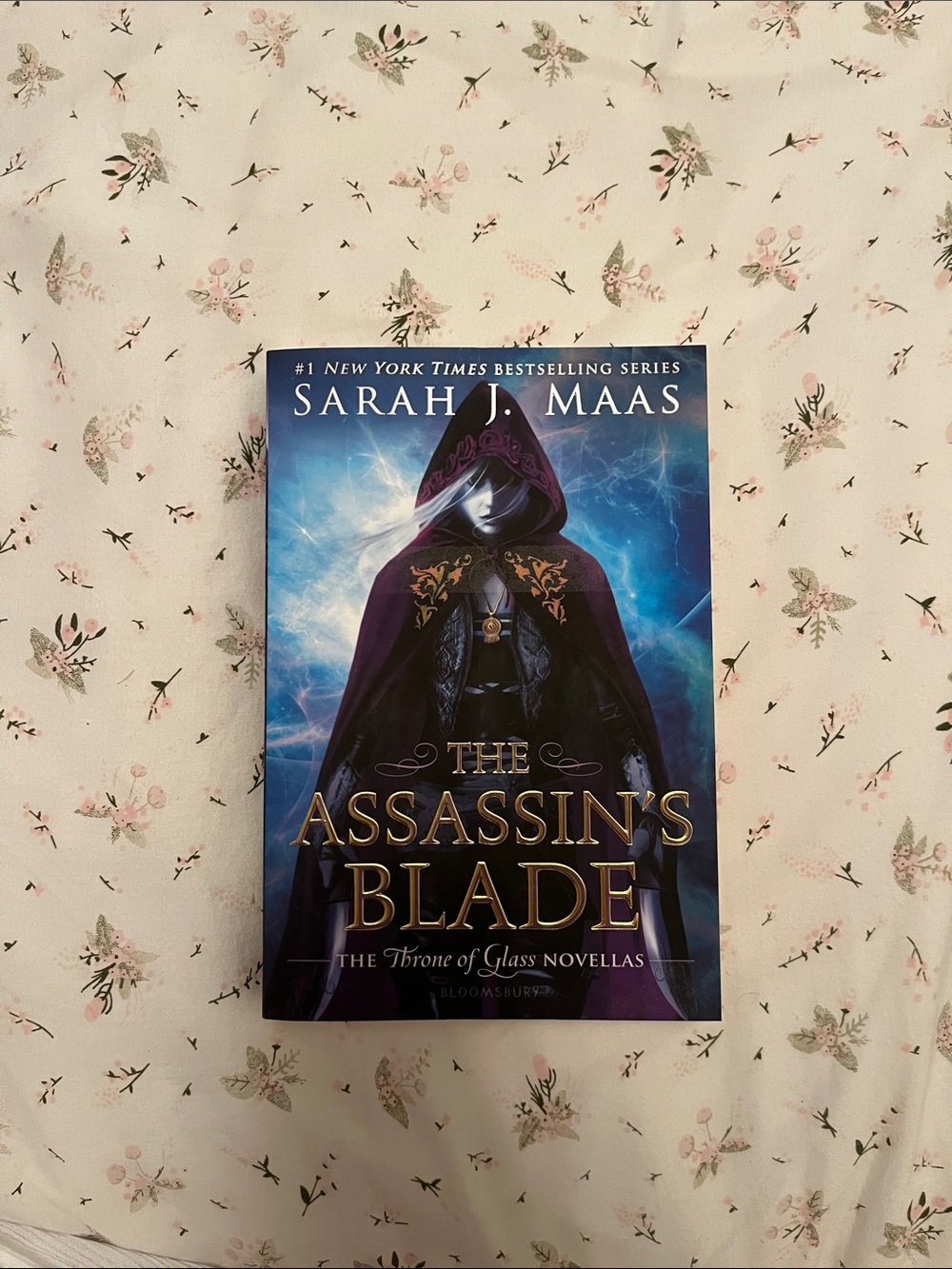 Old vintage cover The Assassin's Blade by - Saraj J. Maas